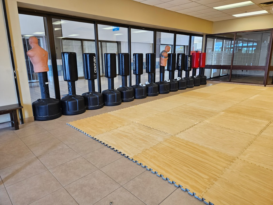 Heavy bags and training equipment at Rogue Combat Arts
